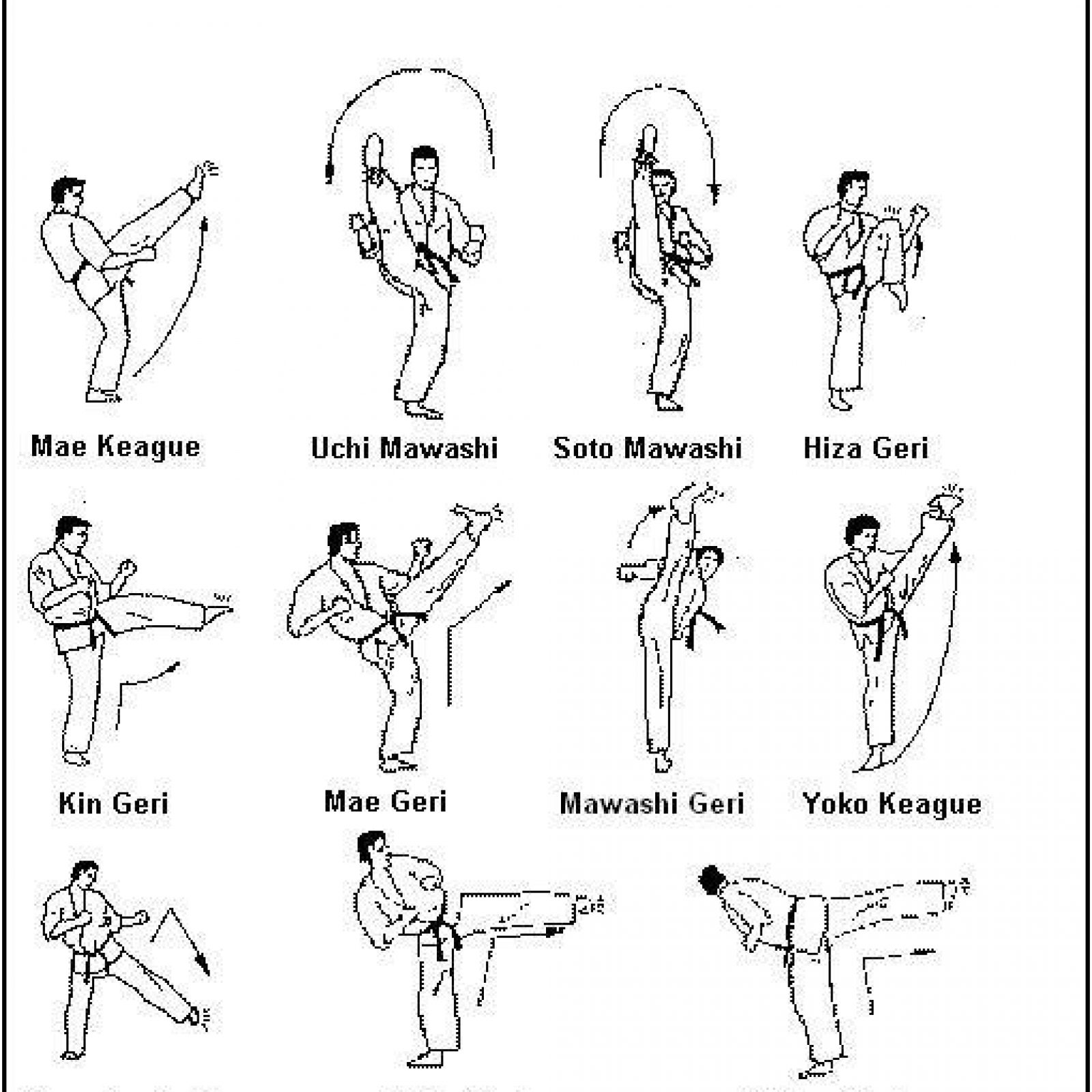 Facebook.com/TrifuDojo